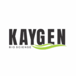 logotipo kaygen